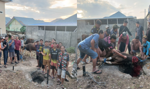 Para Pantia Qurban Mesjid Daarul Ikhlas Puge