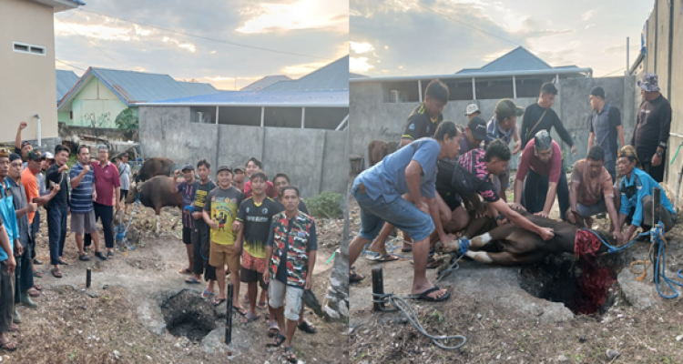 Para Pantia Qurban Mesjid Daarul Ikhlas Puge