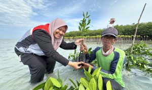 Melalui Program Tiga Perisai PHE OSES berkolaborasi dengan masyarakat Pulau Harapan melalui penanaman mangrove di Kepulauan Seribu