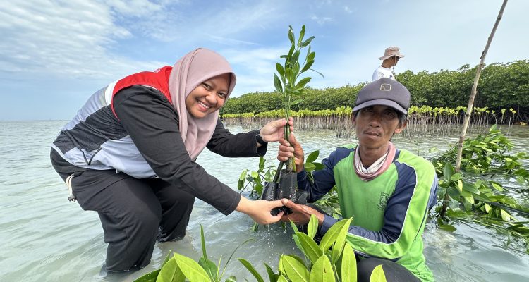 Melalui Program Tiga Perisai PHE OSES berkolaborasi dengan masyarakat Pulau Harapan melalui penanaman mangrove di Kepulauan Seribu