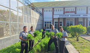 KPLP Lapas Luwuk, Andi bersama Jajaran Pegawai Lapas Luwuk melaksanakan Panen Kangkung