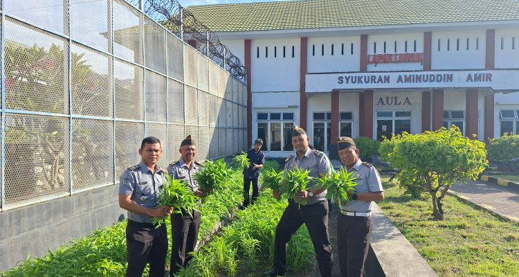 KPLP Lapas Luwuk, Andi bersama Jajaran Pegawai Lapas Luwuk melaksanakan Panen Kangkung