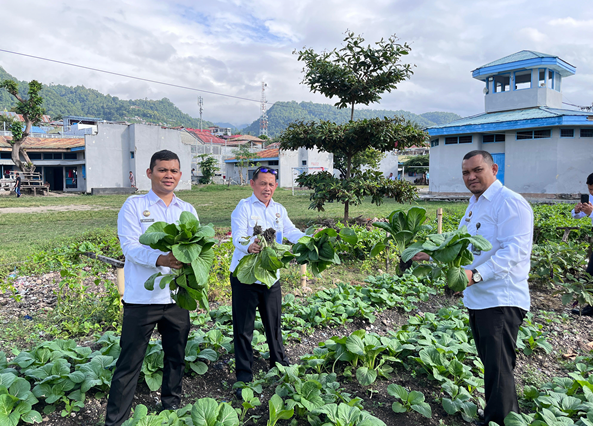 Kepala Lembaga Pemasyarakatan Kelas II B Luwuk, Muhammad Bahrun Melakukan Panen Raya Sayur Hasil Kerja Nyata Warga Binaan ) IST )