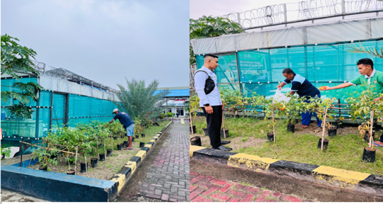 Warga Binaan Lapas Luwuk Sukses Budidaya Tanaman Hortikultura