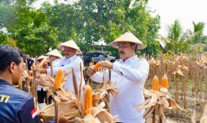 WhatsApp Image 2025-10-27 at 08.37.08