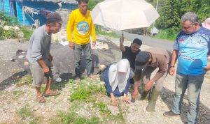 Wardani Murad Husain saat melakukan Penanaman Pohon di kelurahan Kaleke ( Ist )