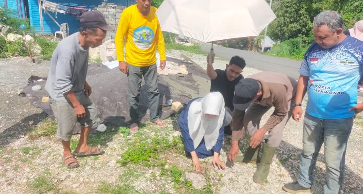 Wardani Murad Husain saat melakukan Penanaman Pohon di kelurahan Kaleke ( Ist )