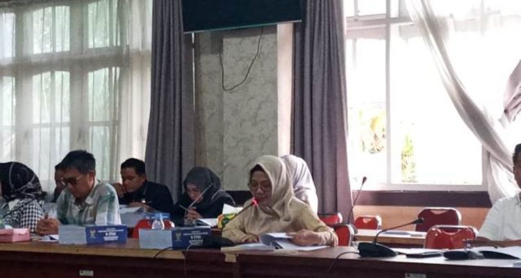 Anggota DPRD Kabupaten Banggai Fraksi Gerindra, Masnawati Muhamma d Saat Memberikan Paparan pada RDP