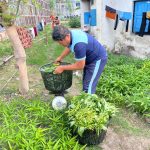 Produktivitas di Balik Tembok: Lapas Luwuk Kembali Panen Kangkung Sebanyak 20 Kg