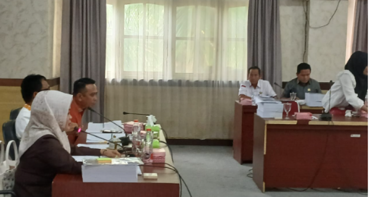 Wardani Murad Wakil Ketua 1 DPRD saat rapat bersama Tim Badan Anggaran DPRD ( IST)