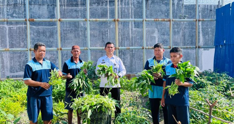Dalam Sebulan, Lapas Luwuk Catat Panen Lebih dari Setengah Ton Sayuran: Wujud Komitmen Pembinaan dan Ketahanan Pangan Nasional