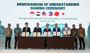 WhatsApp Image 2025-12-12 at 08.41.30