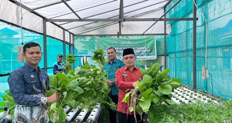 Kepala Lembaga Pemasyarakatan Klas II B Luwuk, Muhammad Bahrun saat melakukan Panen Sawi Hidroponik