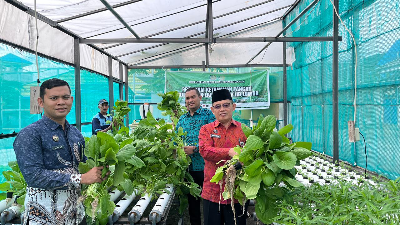 Kepala Lembaga Pemasyarakatan Klas II B Luwuk, Muhammad Bahrun saat melakukan Panen Sawi Hidroponik