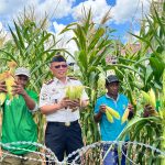 Sukses Jalankan Program Kemandirian, Lapas Luwuk Laksanakan Panen Raya Serentak UPT Pemasyarakatan Seluruh Indonesia