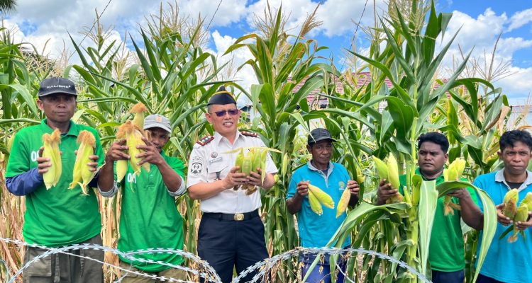 Sukses Jalankan Program Kemandirian, Lapas Luwuk Laksanakan Panen Raya Serentak UPT Pemasyarakatan Seluruh Indonesia