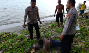 GEGER! Sosok Misterius Mengapung di Pantai Dimpalon, Polsek Kintom Ungkap Fakta Mengejutkan! Gerak Cepat Polsek Kintom Evakuasi Mayat Mengapung di Pantai Dimpalon Baru