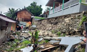 WhatsApp Image 2026-03-30 at 15.12.08