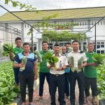 Didampingi Petugas Lapas Luwuk, Warga Binaan Lakukan Panen Sawi sebanyak 25 Kg