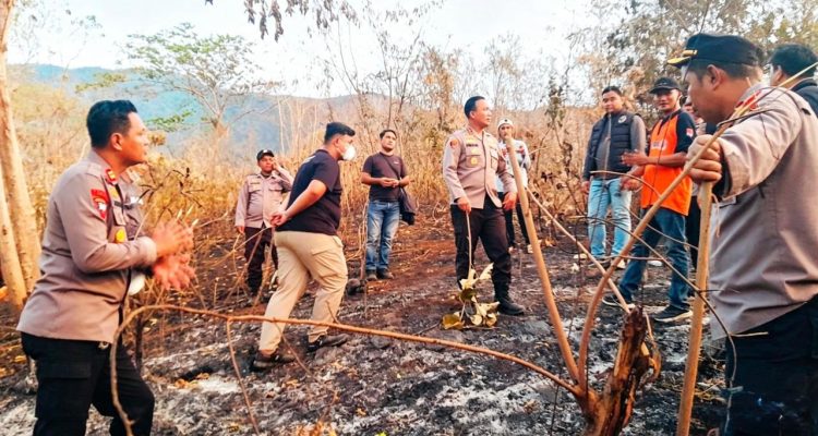 Kapolresta Banggai Kombes Pol. Hendri Yulianto, S.I.K., M.H, memimpin langsung kegiatan pemadaman kebakaran hutan dan lahan (Karhutla)