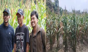 PETANI PEP